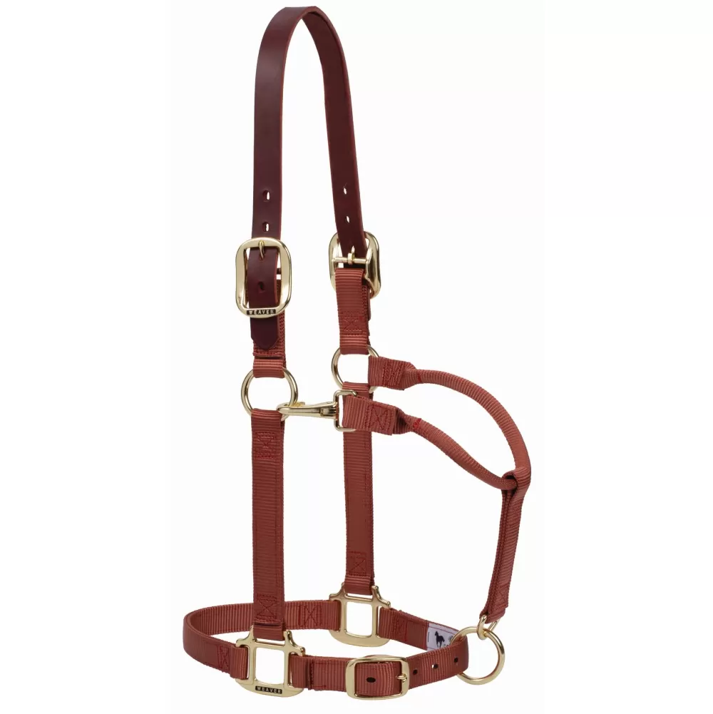 Weaver Pony Breakaway Halter With Adjustable Chin 7 Weaver Pony Breakaway Halter With Adjustable Chin - Image 5