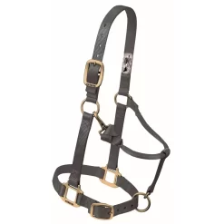 Weaver Original Adjustable 1" Chin & Throat Halter 30 Weaver Original Adjustable 1" Chin & Throat Halter -Equestrian Supplies Store 4 250233