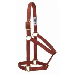 Weaver Basic Non-Adjustable 1" Nylon Halter -Equestrian Supplies Store 4 250279
