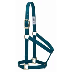 Weaver Basic Non-Adjustable 1" Nylon Halter -Equestrian Supplies Store 4 250280