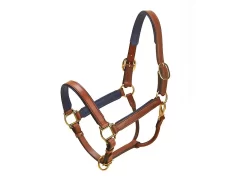 Tory Leather 1" Padded Halter With Brass Hardware 26 Tory Leather 1" Padded Halter With Brass Hardware -Equestrian Supplies Store 4 270533
