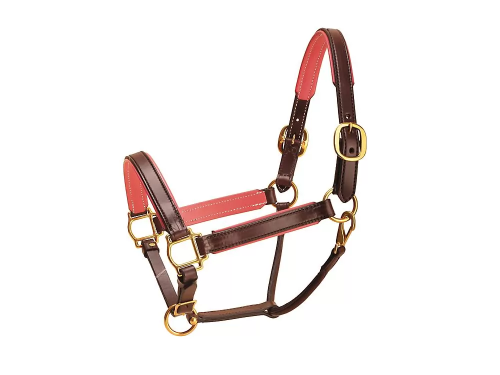 Tory Leather 1" Padded Halter With Brass Hardware 8 Tory Leather 1" Padded Halter With Brass Hardware - Image 6
