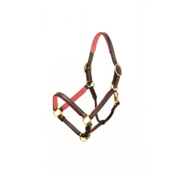 Tory Leather 3/4" Padded Halter With Brass Hardware 25 Tory Leather 3/4" Padded Halter With Brass Hardware -Equestrian Supplies Store 4 270546