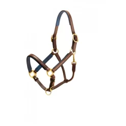 Tory Leather 3/4" Padded Halter With Brass Hardware 26 Tory Leather 3/4" Padded Halter With Brass Hardware -Equestrian Supplies Store 4 270548