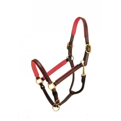 Tory Leather 3/4" Padded Halter With Brass Hardware 27 Tory Leather 3/4" Padded Halter With Brass Hardware -Equestrian Supplies Store 4 270549