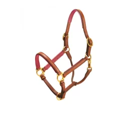 Tory Leather 3/4" Padded Halter With Brass Hardware 28 Tory Leather 3/4" Padded Halter With Brass Hardware -Equestrian Supplies Store 4 270550