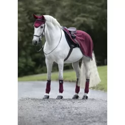 Equestrian Supplies Store -Equestrian Supplies Store 4 281748
