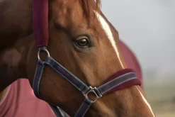 Rambo Padded Halter -Equestrian Supplies Store 4 282212