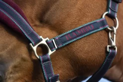 Rambo Padded Halter -Equestrian Supplies Store 4 282212 a