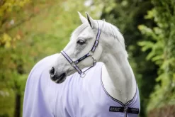 Amigo Halter -Equestrian Supplies Store 4 296263