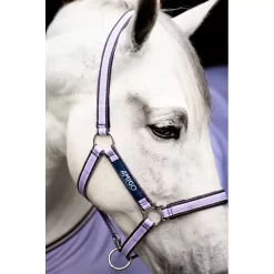 Amigo Halter -Equestrian Supplies Store 4 296263 b