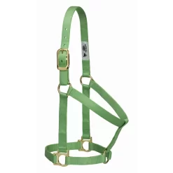 Weaver Basic Non-Adjustable 1" Nylon Halter -Equestrian Supplies Store 4 303503