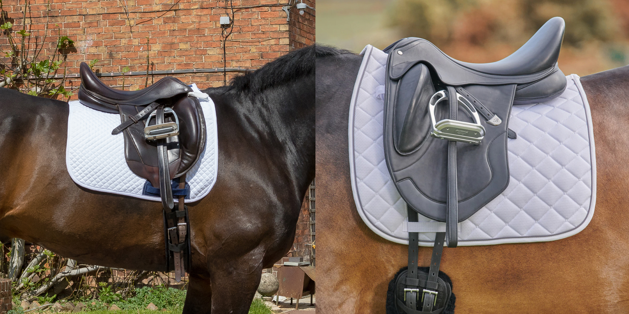 Equestrian Supplies Store -Equestrian Supplies Store 4