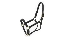 Royal King Leather Stable Halter