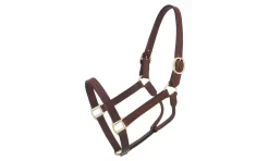 Royal King Leather Track Halter -Equestrian Supplies Store 44 2046