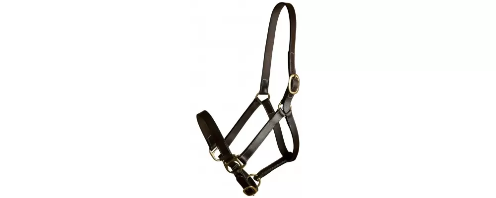 Gatsby Leather Adjustable Turnout Halter Without Snap 3 Gatsby Leather Adjustable Turnout Halter Without Snap