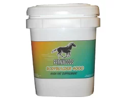 Body Builder 4000 Powder