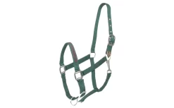 Gatsby I LOVE MY OWNER Nylon Halter