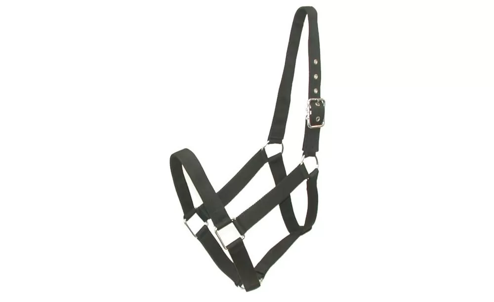 Gatsby Nylon Draft Halter 4 Gatsby Nylon Draft Halter - Image 2
