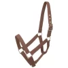 Gatsby Nylon Draft Halter 2 Gatsby Nylon Draft Halter -Equestrian Supplies Store 5 111248