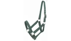 Gatsby Nylon Draft Halter 9 Gatsby Nylon Draft Halter -Equestrian Supplies Store 5 111249