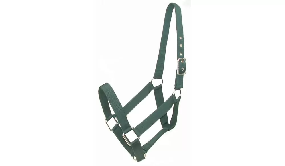 Gatsby Nylon Draft Halter 5 Gatsby Nylon Draft Halter - Image 3