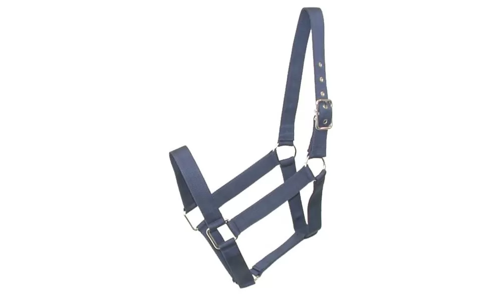 Gatsby Nylon Draft Halter 6 Gatsby Nylon Draft Halter - Image 4