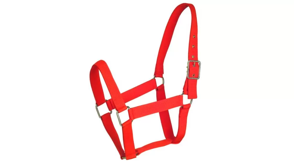 Gatsby Nylon Draft Halter 7 Gatsby Nylon Draft Halter - Image 5