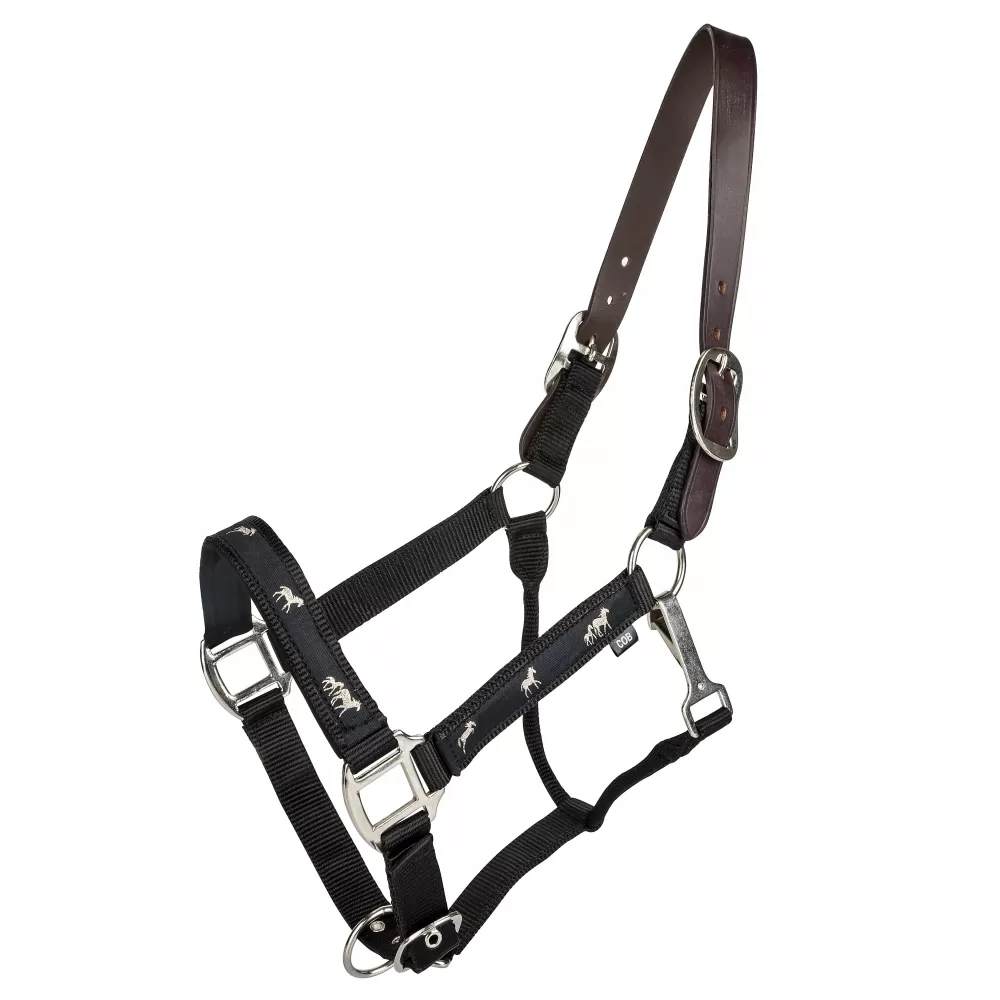 Gatsby Nylon Breakaway Halter With Horse Overlay & Snap 4 Gatsby Nylon Breakaway Halter With Horse Overlay & Snap - Image 2