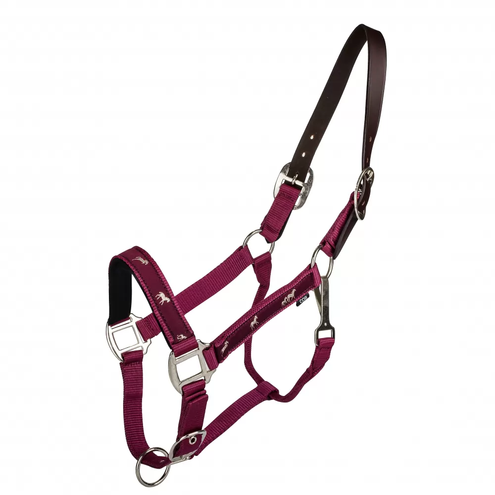Gatsby Nylon Breakaway Halter With Horse Overlay & Snap 6 Gatsby Nylon Breakaway Halter With Horse Overlay & Snap - Image 4