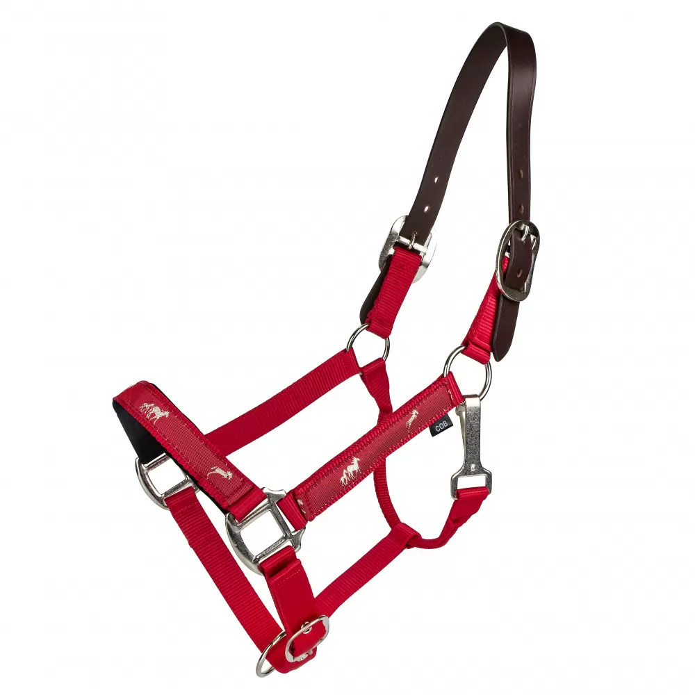 Gatsby Nylon Breakaway Halter With Horse Overlay & Snap 11 Gatsby Nylon Breakaway Halter With Horse Overlay & Snap - Image 9