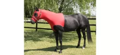 StretchX Mane Stay Hood -Equestrian Supplies Store 5 126305