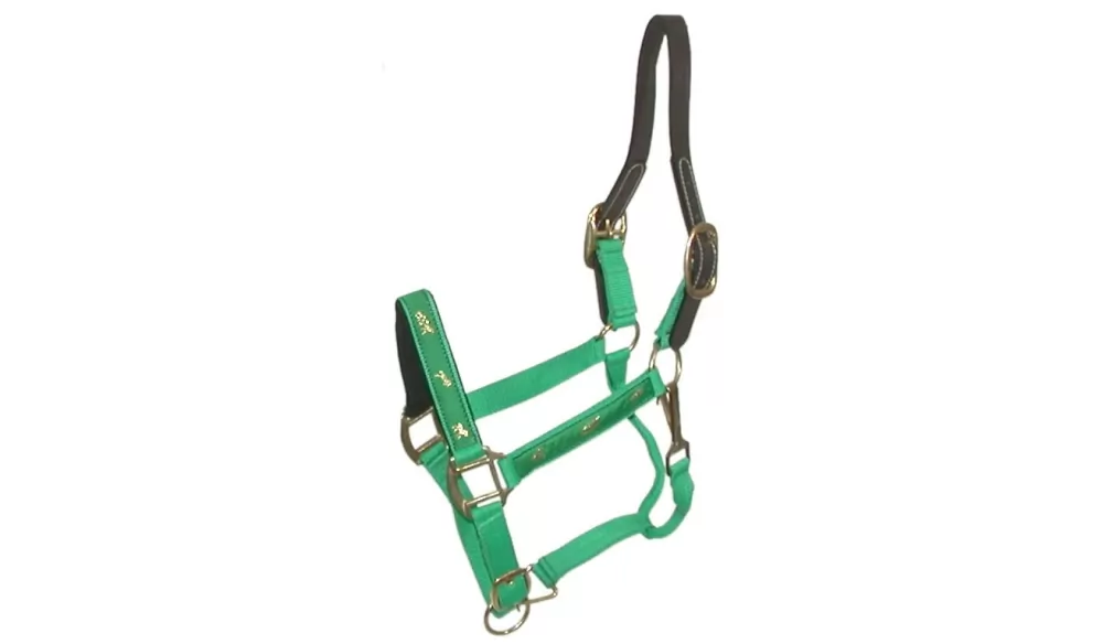Gatsby Nylon Breakaway Halter With Horse Overlay & Snap 13 Gatsby Nylon Breakaway Halter With Horse Overlay & Snap - Image 11