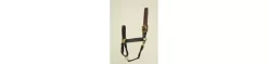 Hamilton Horse Halter With Leather Crown