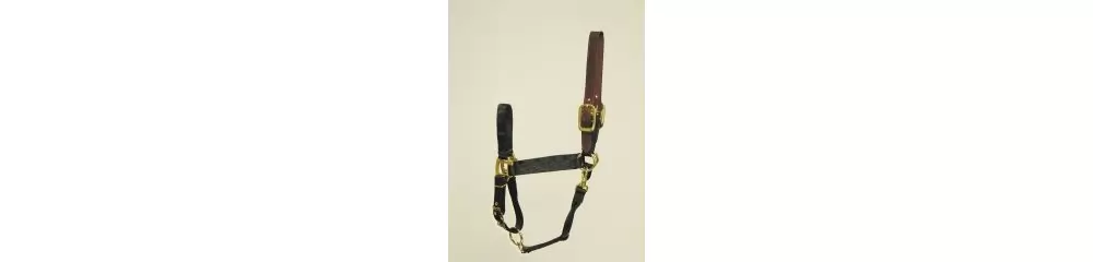 Hamilton Horse Halter With Leather Crown 3 Hamilton Horse Halter With Leather Crown