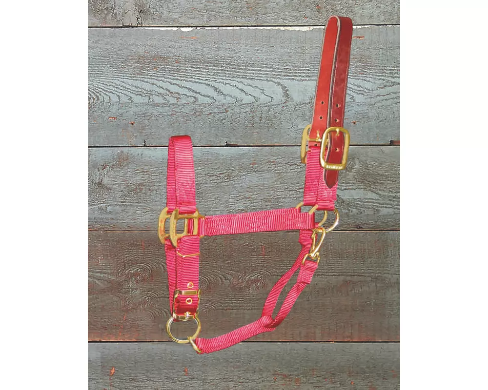 Hamilton Horse Halter With Leather Crown 6 Hamilton Horse Halter With Leather Crown - Image 4