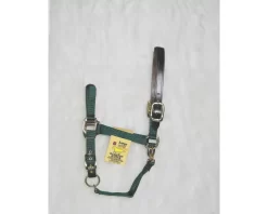 Hamilton Horse Halter With Leather Crown 22 Hamilton Horse Halter With Leather Crown -Equestrian Supplies Store 5 145280