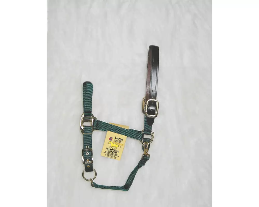 Hamilton Horse Halter With Leather Crown 9 Hamilton Horse Halter With Leather Crown - Image 7