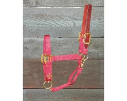 Hamilton Horse Halter With Leather Crown 23 Hamilton Horse Halter With Leather Crown -Equestrian Supplies Store 5 145281