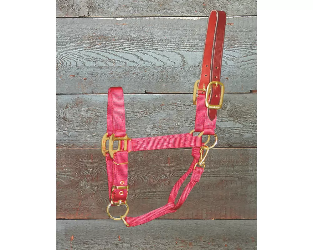 Hamilton Horse Halter With Leather Crown 10 Hamilton Horse Halter With Leather Crown - Image 8
