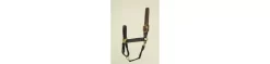 Hamilton Horse Halter With Leather Crown 24 Hamilton Horse Halter With Leather Crown -Equestrian Supplies Store 5 145282