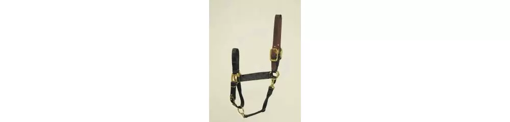 Hamilton Horse Halter With Leather Crown 11 Hamilton Horse Halter With Leather Crown - Image 9