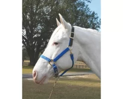 Hamilton Horse Halter With Leather Crown 25 Hamilton Horse Halter With Leather Crown -Equestrian Supplies Store 5 145283