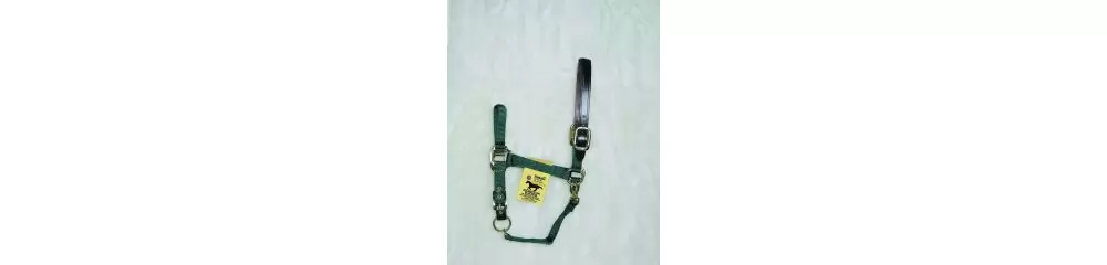 Hamilton Horse Halter With Leather Crown 13 Hamilton Horse Halter With Leather Crown - Image 11