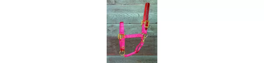 Hamilton Horse Halter With Leather Crown 14 Hamilton Horse Halter With Leather Crown - Image 12