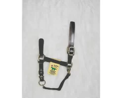Hamilton Horse Halter With Leather Crown 28 Hamilton Horse Halter With Leather Crown -Equestrian Supplies Store 5 145286