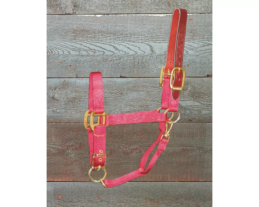 Hamilton Horse Halter With Leather Crown 16 Hamilton Horse Halter With Leather Crown - Image 14