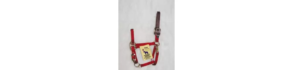 Hamilton Adjustable Halter With Latigo Overlay & Snap 4 Hamilton Adjustable Halter With Latigo Overlay & Snap - Image 2