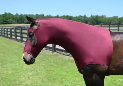 StretchX Mane Stay Hood -Equestrian Supplies Store 5 153140