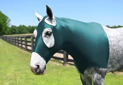 StretchX Mane Stay Hood -Equestrian Supplies Store 5 153144 turquoise